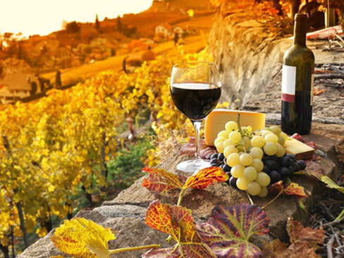 Day trip to the Chianti Region and Siena OR San Gimignano