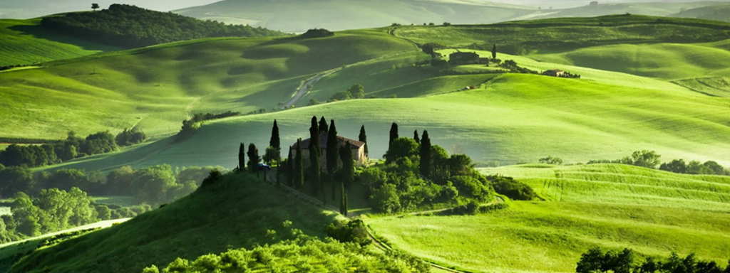 Chianti Region + Siena and San Gimigniano 1