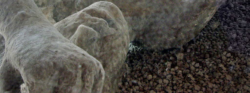 Day trip to Mt Vesuvius + Pompeii from Rome 2