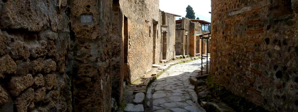 Day trip to Mt Vesuvius + Pompeii from Rome 3